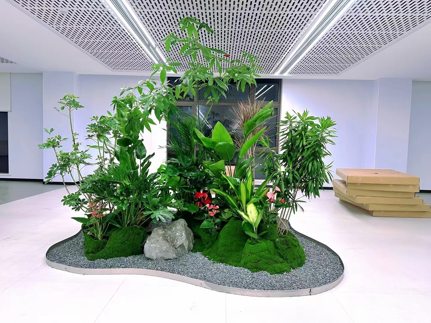 了解宁波奉化植物出租，拥抱清新自然风