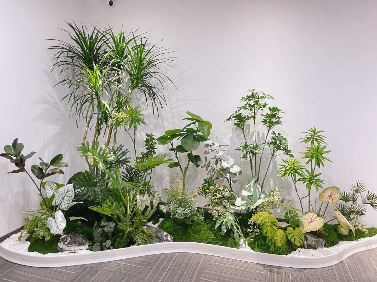 了解宁波奉化植物出租，拥抱清新自然风